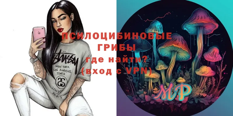 Галлюциногенные грибы Psilocybe  Вуктыл 